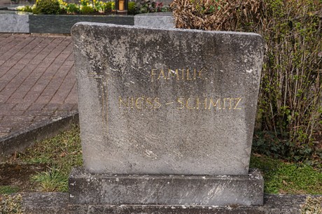 Alfter