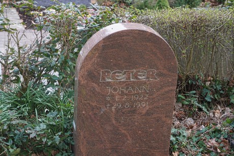 Alfter