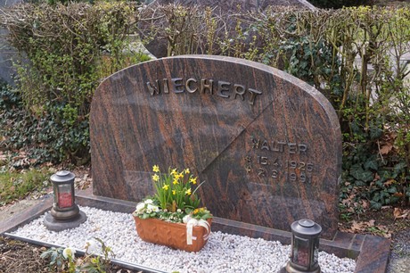 Alfter