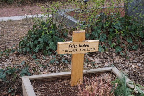 Alfter