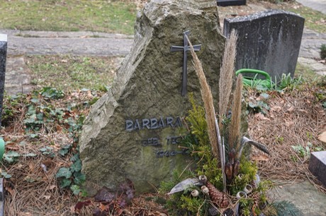 Alfter