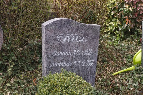 Alfter