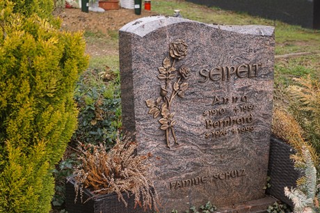 Alfter