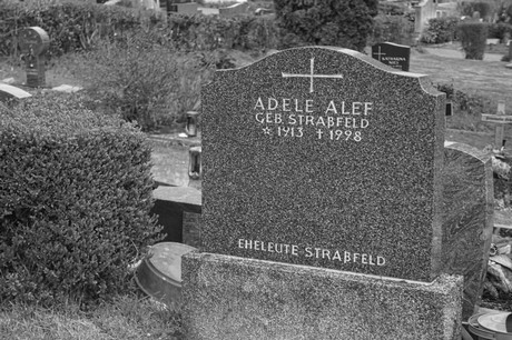 Alfter