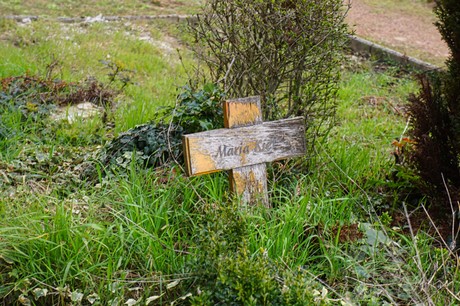 Alfter