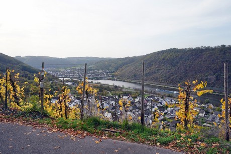 Alken