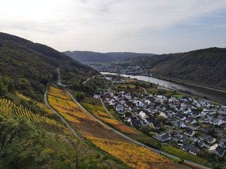 Alken