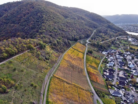 Alken