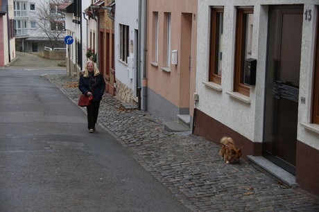 Alzey