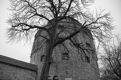 Alzey