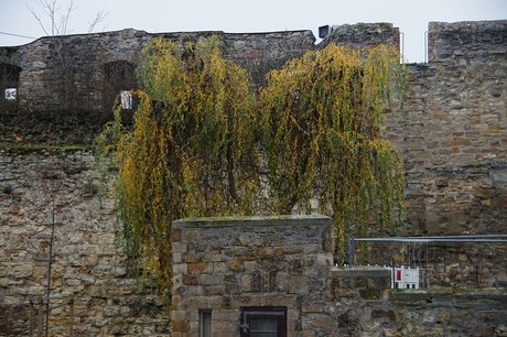 Alzey