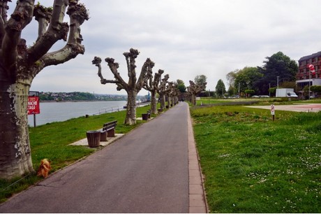 Andernach