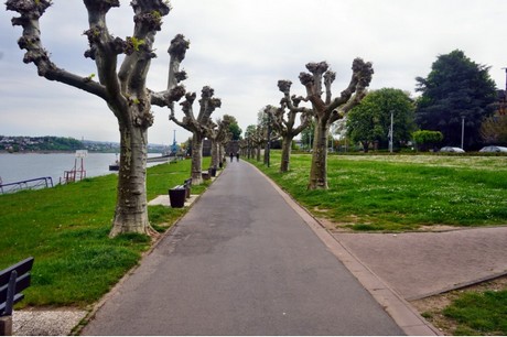 Andernach