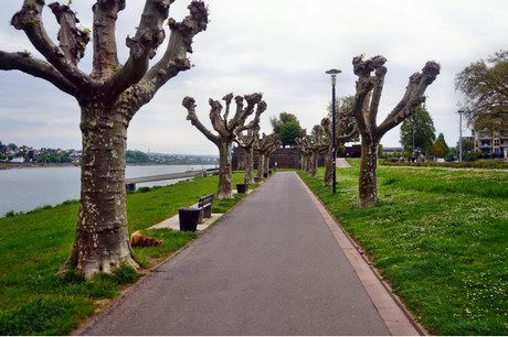 Andernach