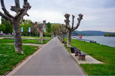 Andernach