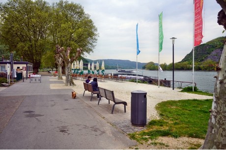 Andernach