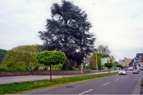 Andernach