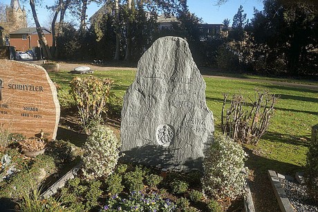 Arnoldsweiler