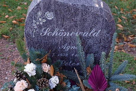 Arnoldsweiler