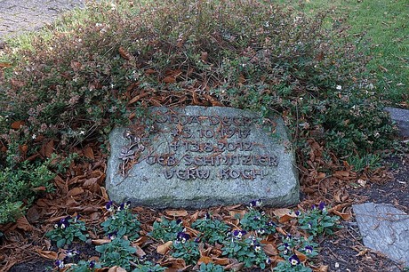 Arnoldsweiler