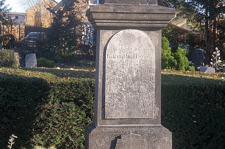 Arnoldsweiler