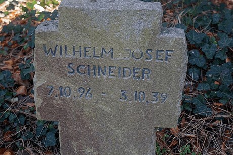 Arnoldsweiler