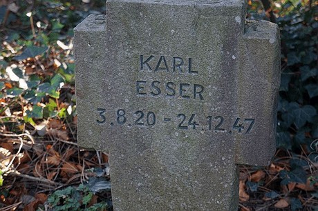 Arnoldsweiler