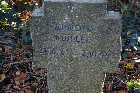 Arnoldsweiler