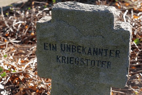 Arnoldsweiler