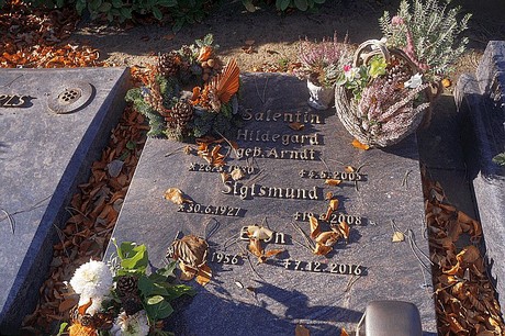 Arnoldsweiler