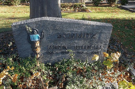 Arnoldsweiler