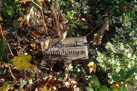 Arnoldsweiler