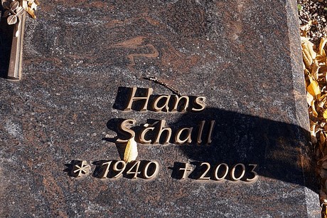 Arnoldsweiler