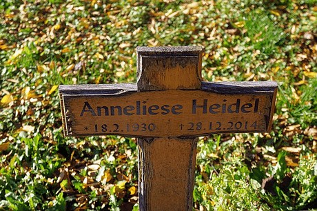Arnoldsweiler
