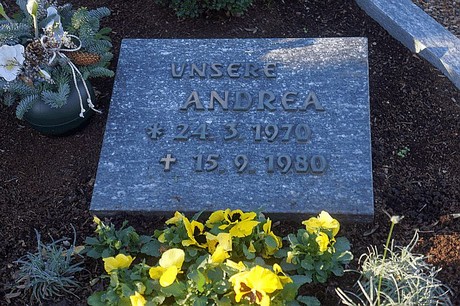 Arnoldsweiler