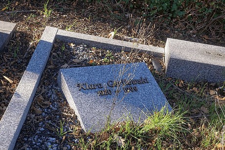 Arnoldsweiler
