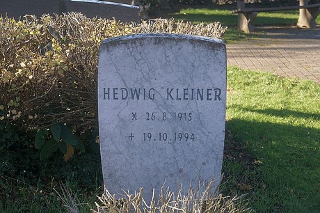 Arnoldsweiler