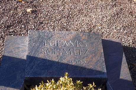 Arnoldsweiler
