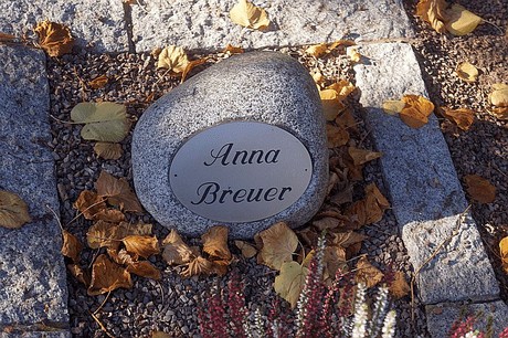 Arnoldsweiler