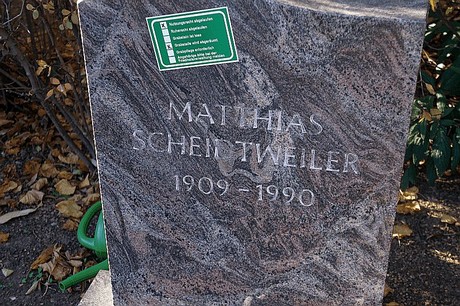 Arnoldsweiler