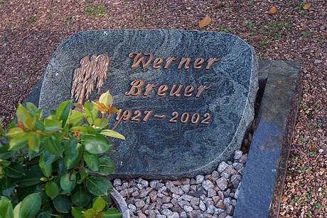 Arnoldsweiler