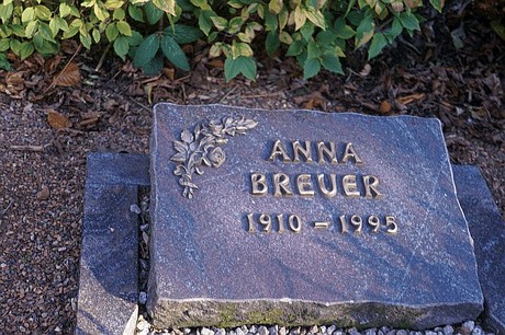 Arnoldsweiler