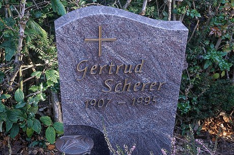 Arnoldsweiler