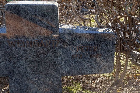 Arnoldsweiler