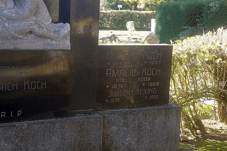 Arnoldsweiler