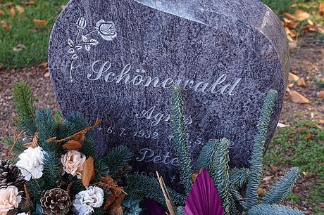 Arnoldsweiler