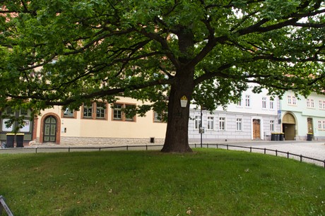 Arnstadt