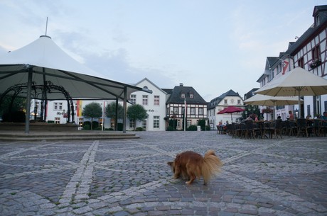 ahrweiler