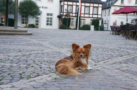 ahrweiler