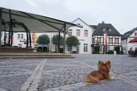 ahrweiler